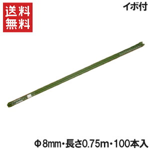 |x C{t 8mm 0.75m 100{Zbg[C{| ڕt r _Ǝ ƒ؉ K[fjO pi]