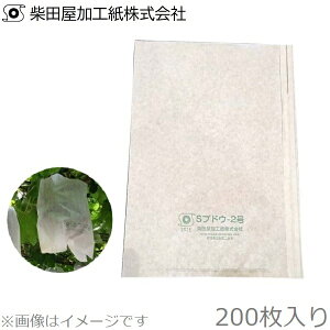ēcH Ԃǂpʎ S1 200 Ԃǂ    ܊| sI[l ʎ  | cʎ Ԃǂp c J΍ Q΍