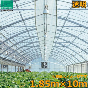 rj[nEX _r  1.85×10m 0.1mm _Ɨprj[ glV[g tB rj[nEX h ۉ 悯 悯