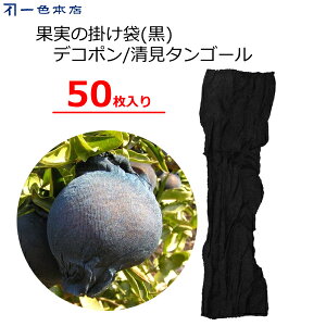 F{X ʎ̊| 50 llbg18  180mm ʎ | XgbLO^Cv fR|  Ƃ ӊ z~p d| ΍ 悯 ʎ K-22