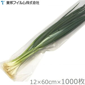 M lM ؗp oב 120×600mm 1000Zbg #25 FGn ؑ lM j   tB