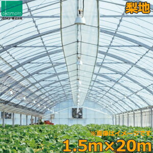 rj[nEX _r n 1.5×20m 0.1mm TChrj[ glV[g _Ɨprj[ tB rj[nEX h ۉ 悯 悯