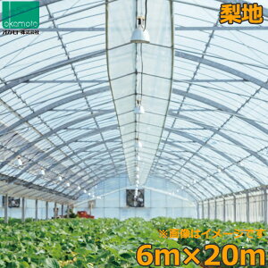 rj[nEX _r n 6×20m 0.1mm glV[g _Ɨprj[ tB rj[nEX h ۉ 悯 悯