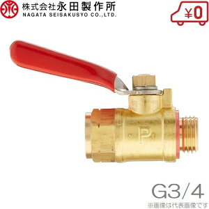 ic쏊 nC^b`RbN 19mm (G3/4) mY z[X Xv[z[X ͕