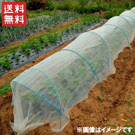 楽天市場 防虫ネットの通販