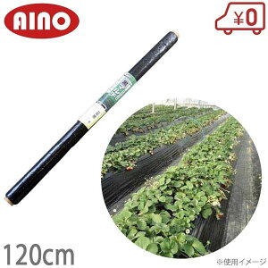 愛農 黒マルチ 120cm×500m 厚0.02mm センターライン入 黒マルチシート 国産マルチシート 日本製 農業用ビニール 農業資材 雑草防止シート 遮光 農業用マルチ 防草 シート 農業 マルチング 園芸用