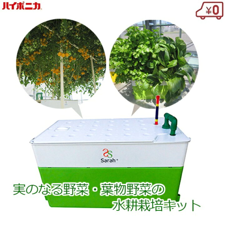 楽天市場】ハイポニカ 水耕栽培キット ホームハイポニカSarahプラス 