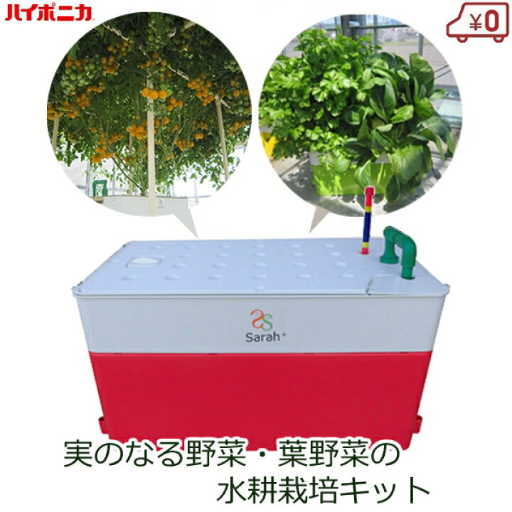 楽天市場】ハイポニカ 水耕栽培キット ホームハイポニカSarahプラス 