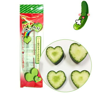 tHXg イ^ǂP[X n[g^ n[ĝイ fR[V イ͔| łLE v^[ LE ӉZ