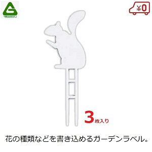 }g |px Aj}x X 3 55×145mm K[fx t[x l[^O |^O K[fjO ͔| | n[u ܂