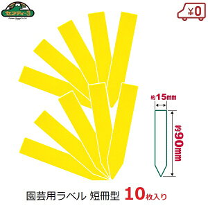 ZteB|3 |px CG[ Z^ 񂴂 10 15×90mm K[fx t[x l[^O |^O K[fjO ͔| | n[u ܂