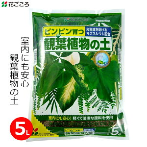 Ԃ ϗtA̓y 5L |{y y ϗtA A   }OlVEz ƒp | K[fjO