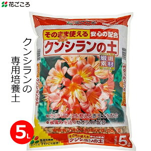 Ԃ NV̓y 5L |{y L@z Nq NV p y ͔ A ƒp | K[fjO