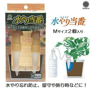  ybg{g  蓖M 2 @ A @ | s  o x_ v^[ ؉ _
