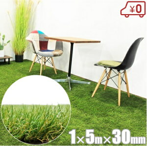 lH 1m×5m ŏ3cm A [ lHŃ}bg O hV[g x_ NbVtA NbV}bg J[ybg 