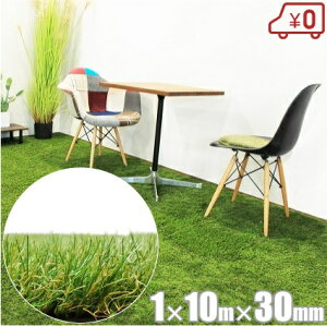 AlH 1m×10m ŏ3cm [ lHŃ}bg O hV[g x_ NbVtA NbV}bg J[ybg 