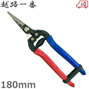 zH ؖQ 180mm |  ΂ ~  ؂΂ Ԃ͂ ؎n y ʎ SS402BP