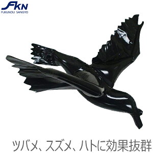 JX 悯ObY  DJX̍ 2  h΍ x_ 悯 JX΍  _Ǝ h e[v