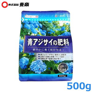  z 엿 AWTC̔엿 500g  c | K[fjO