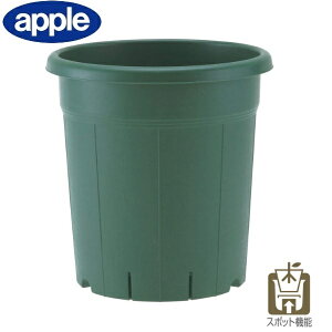 o 12 ubN  Aؔ ۔ v ƒ؉ Aւ e K[fjO CeA AbvEFA