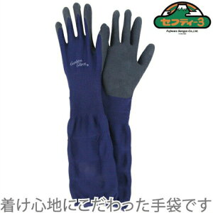 ZteB[3 |p lCr[ O^Cv_Ǝ K[fO[u  q K[fjO G  fB[X LbY R