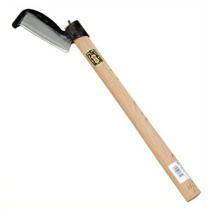 n qc 300g }ł d Ȃ n