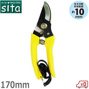 sita  170mm ؂΂ ؂ A | y тɂ  K[fjO #900B  nnT~ ~ ΂ ͂ }