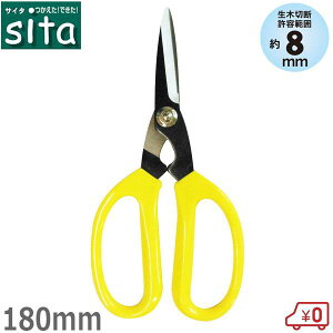 sita \ 180mm ؂΂ ͂ } A | y тɂ  K[fjO #900D ؂   nnT~ ~ ΂ }