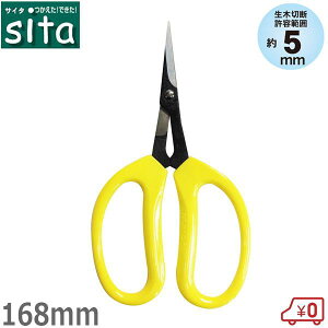 sita ؉͂ 168mm ؂΂ ؂ A | y тɂ  K[fjO A041  nnT~ ~ ΂ ͂  }