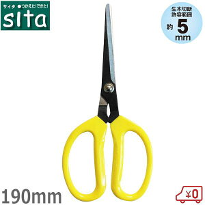 sita n؉͂ 190mm ؂΂ } A | y тɂ  K[fjO A042 ؂  nnT~ ~ ΂ ͂ 