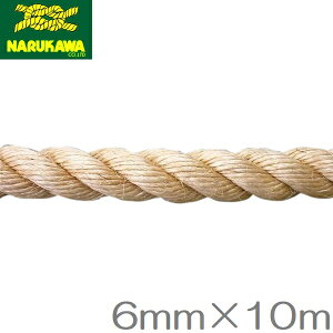  [v 6mm×10m  L ܌ ꊪ }j[v ߃TCU[v R 