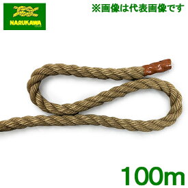 生川 ランバーロープ 綱引き ロープ 10mm×100m フィールドアスレチック 運動会 曳綱 引き綱