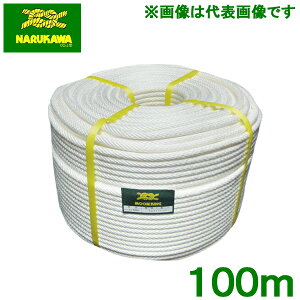  rj[v  4mm×100m ƃ[v ⏕[v ړI[v ב Lv