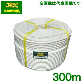 楽天市場 クレモナ ロープ 12mm 金剛打の通販