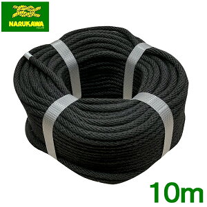  Ni[v   3mm×10m ƃ[v ⏕[v ړI[v J[[v