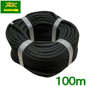  Ni[v   6mm×100m ƃ[v ⏕[v ړI[v J[[v