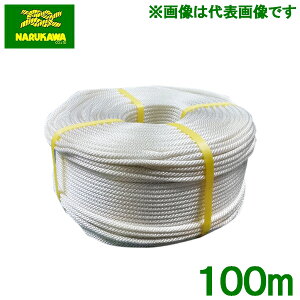 RCX^[^[[v iC[v  2.5mm×100m Ŋ@ @ uCh[v
