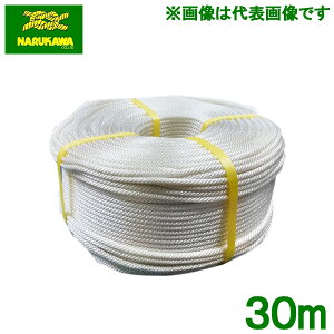  RCX^[^[[v iC[v  4mm×30m Ŋ@ @ uCh[v