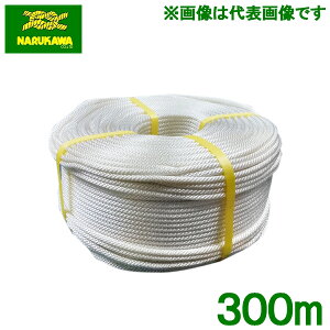  RCX^[^[[v iC[v  4mm×300m Ŋ@ @ uCh[v
