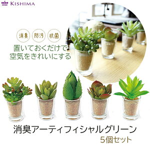 LV} CeA A L tFCNO[  gTLgt@~[ LA[eBtBVO[ 5Zbg L ~jTCY tFCNA LObY RۃO