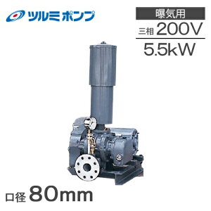 c~|v [cu[ RSR-80 5.5kw O200V 80mm ߌ|v GA[|v uA[ Cu GA|v