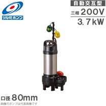 楽天市場】水中ポンプ 3インチの通販