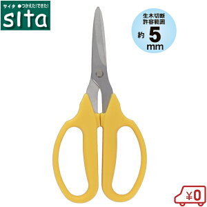 sita ؂΂ ؂  nnT~ ~ ΂ ͂  } A | y тɂ  K[fjO A007