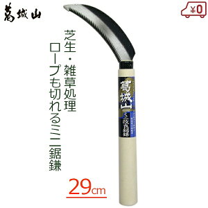 R J} ~jǋ 芙 29cm  ̂  Ő  G  |  p 둢 | K[fjO #3352