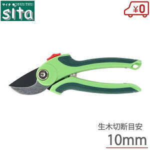 sita ΂  oT~ A823  ͂ nT~ }͂ }  y
