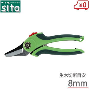 sita ΂  oT~ X A824  ͂ nT~ }͂ }  y