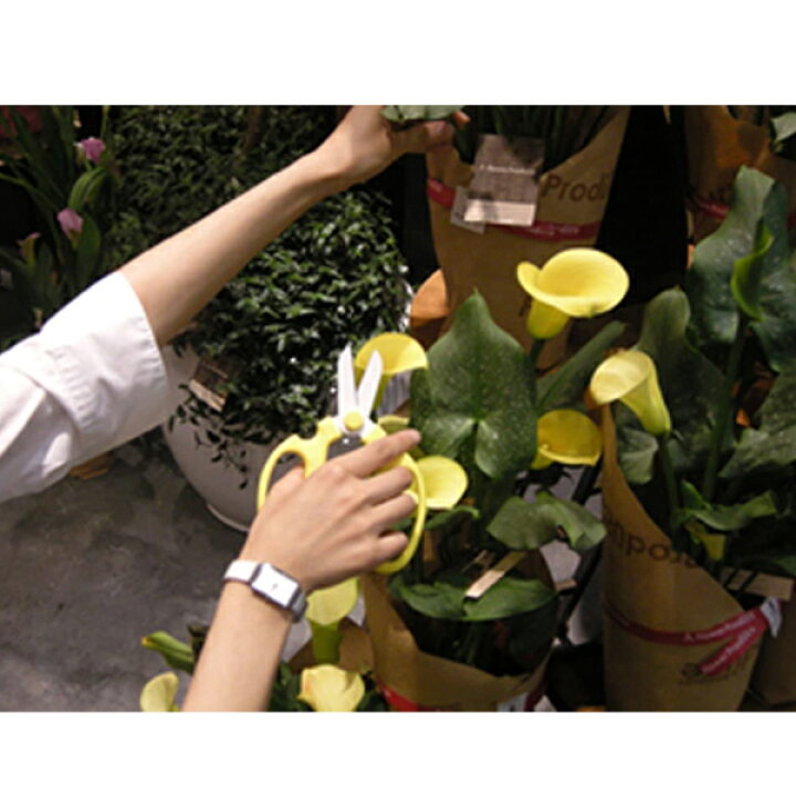 生花用ハサミ ハンドクリエーション F170 園芸 花屋 送料無料 グッドデザイン賞 坂源 フラワーショップ メール便 生け花 三冨d はさみ 草花 鋏 生花用ハサミ ハンドクリエーション F170 園芸 花屋 送料無料 グッドデザイン賞 坂源 フラワーショップ メール便 生け花 三冨d はさみ 草花 鋏