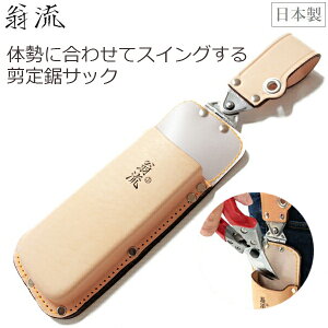 OWL X 苘TbN kv xgʂ^Cv JȂ { mR P[X U^Cv  El | [ v   #1142