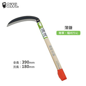 芙    |t 180mm { _炩 n  _ |pi OWL #142