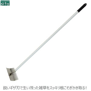 sita A~  pi  127cm  菜p ؂  O^Cv XeX MUn G | 